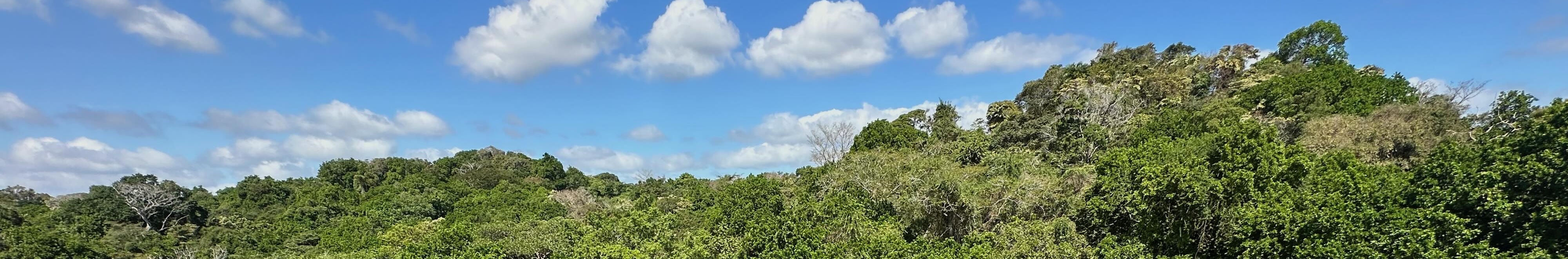 ForestGEO Ecosystems & Climate Lab